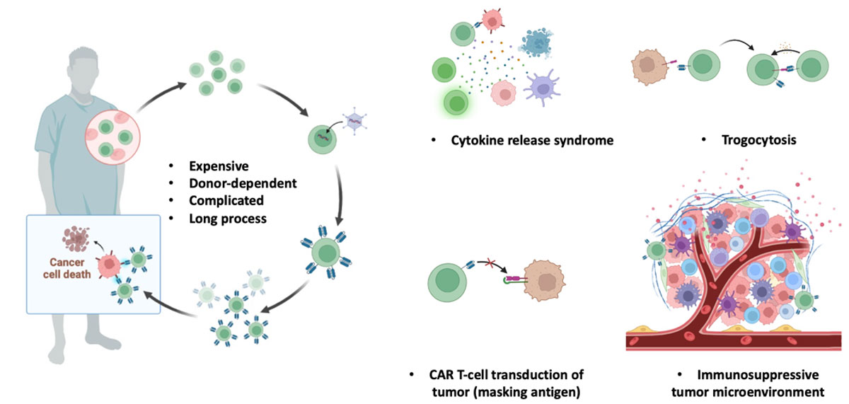 limitations and results of artcell