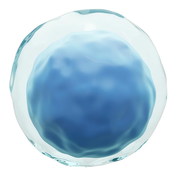 cell of artcell